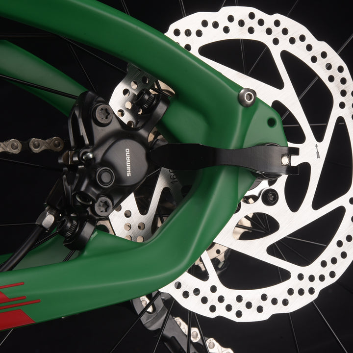 20 Inch SAVA Z1 Carbon Folding Bike 20 Speed