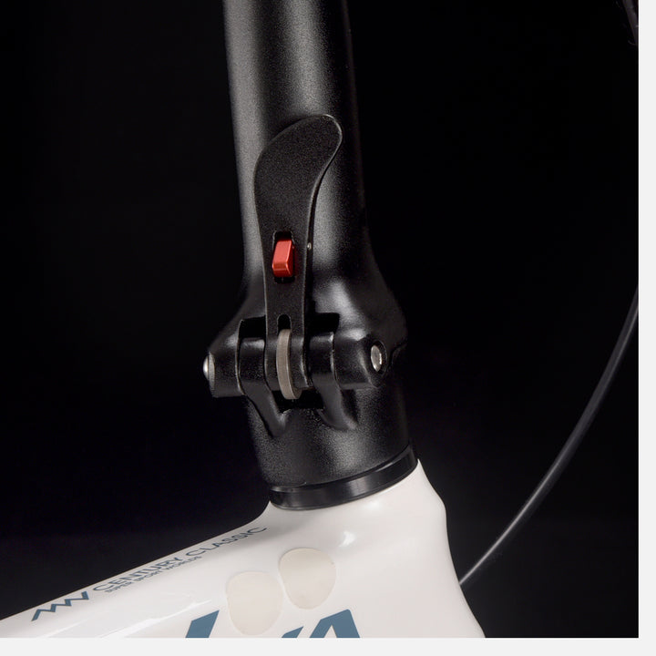 14inch SAVA Z0 Carbon Fiber Folding Bike