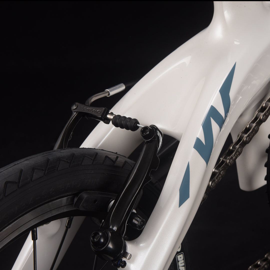 14inch SAVA Z0 Carbon Fiber Folding Bike